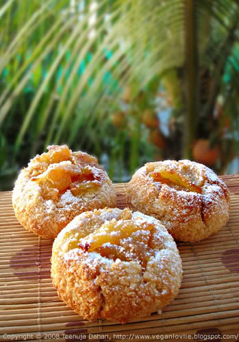 Apple Coconut macaroons
