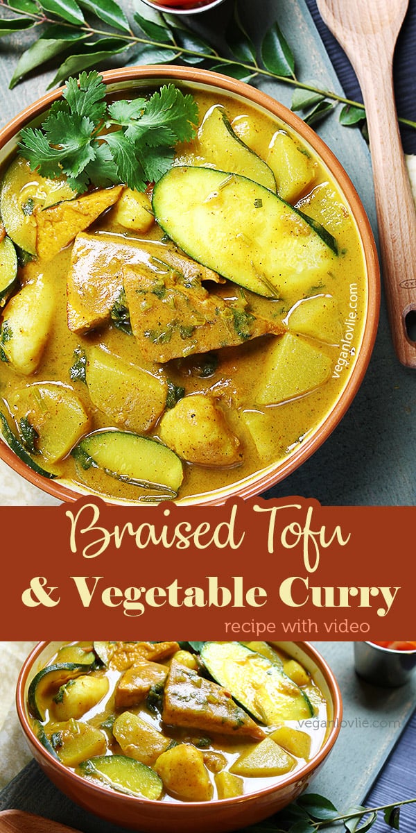 Braised Tofu Curry with Vegetables